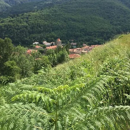 Appartement T2 Petite Terrasse Coeur De